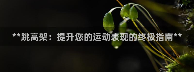 富联娱乐是资金盘吗：**跳高架：提升您的运动表现的终