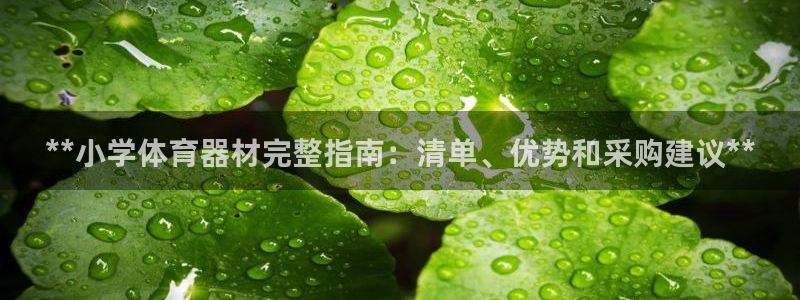 富联平台官网登录不了：**小学体育器材完整指南：清单