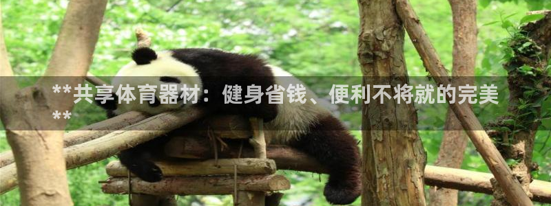 富联平台节7O777：**共享体育器材：健身省钱、便