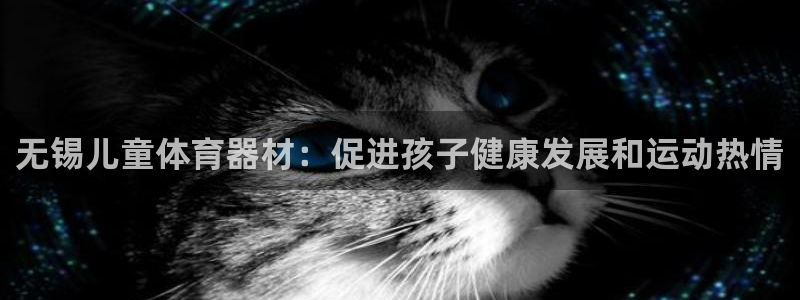 富联平台娱乐：无锡儿童体育器材：促进孩子健康发展和运