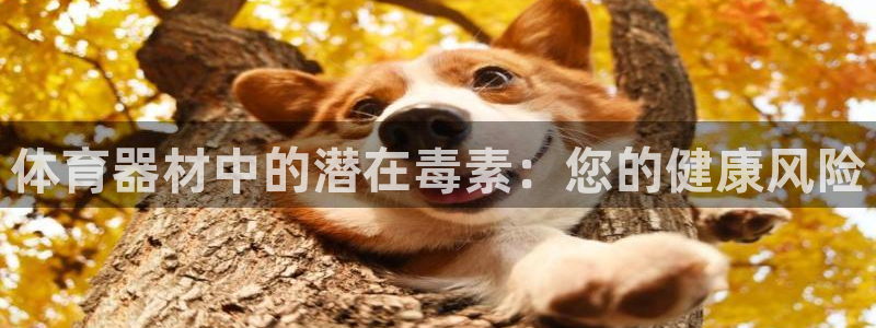 富联官方网站首页入口下载：体育器材中的潜在毒素：您的