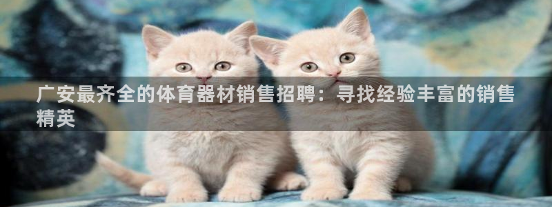 富联官网注册：广安最齐全的体育器材销售招聘：寻找经验