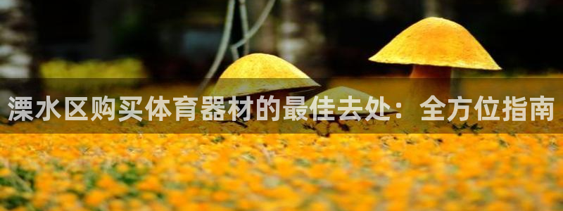 富联娱乐心 585341 娱乐：溧水区购买体育器材的