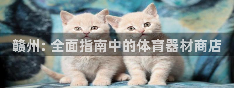 富联平台非7O777：赣州: 全面指南中的体育器材商