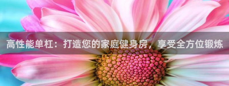 富联平台去 58534I 平台：高性能单杠：打造您的