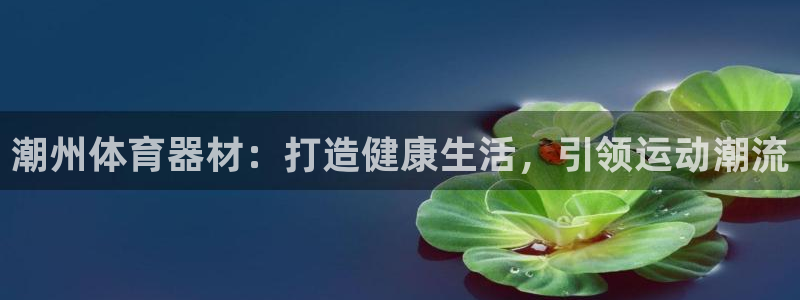 富联娱乐在线注册链接是什么软件：潮州体育器材：打造健