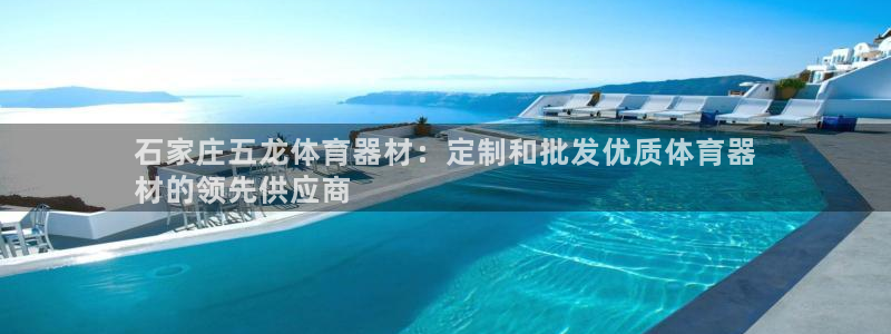 富联平台赢钱不给退怎么办呀：石家庄五龙体育器材：定制
