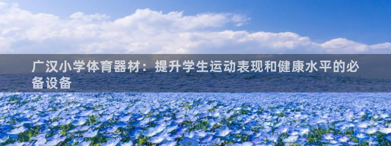 富联平台线路检测中心：广汉小学体育器材：提升学生运动
