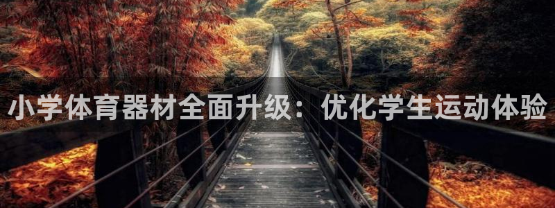 富联官方网站下载安装：小学体育器材全面升级：优化学生