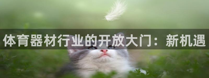 富联娱乐平台开户流程及时间：体育器材行业的开放大门：