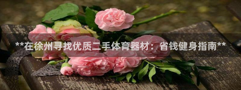富联娱乐心 5o69I7：**在徐州寻找优质二手体育