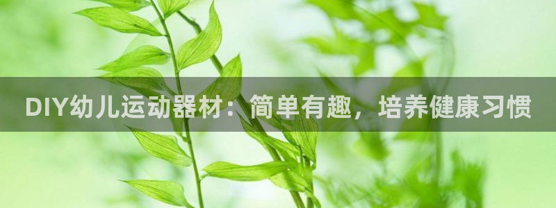 富联平台目 411O31 富联：DIY幼儿运动器材：