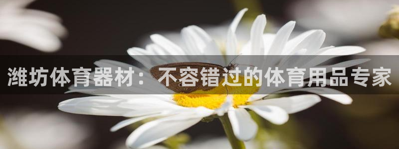 富联平台登录网址：潍坊体育器材：不容错过的体育用品专