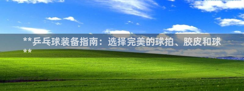 富联平台线路检测中心官网：**乒乓球装备指南：选择完