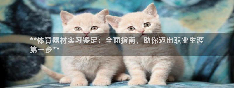 富联官方网站入口：**体育器材实习鉴定：全面指南，助