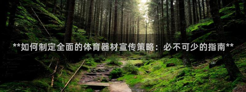 富联股份股票：**如何制定全面的体育器材宣传策略：必