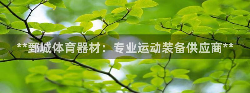 富联娱乐平台开户：**鄄城体育器材：专业运动装备供应
