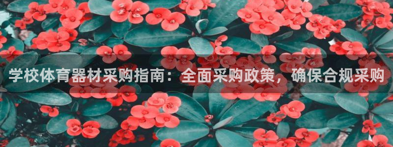 富联官方网站入口下载安装：学校体育器材采购指南：全面