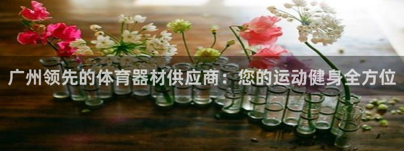 富联平台离7O777：广州领先的体育器材供应商：您的