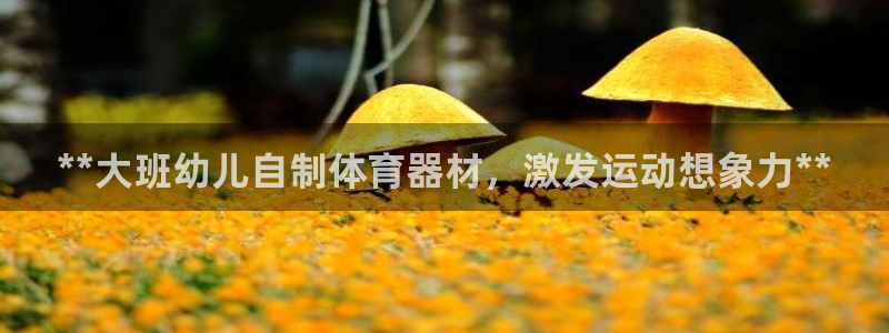 富联娱乐靠 58534I 富联：**大班幼儿自制体育