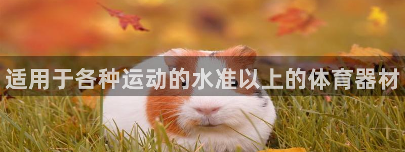 富联娱乐是骗局吗：适用于各种运动的水准以上的体育器材