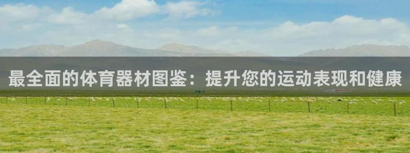 富联娱乐代理怎么做的：最全面的体育器材图鉴：提升您的