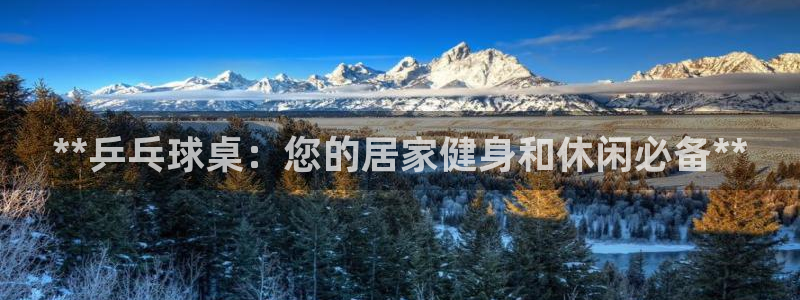 富联集团最新消息：**乒乓球桌：您的居家健身和休闲必