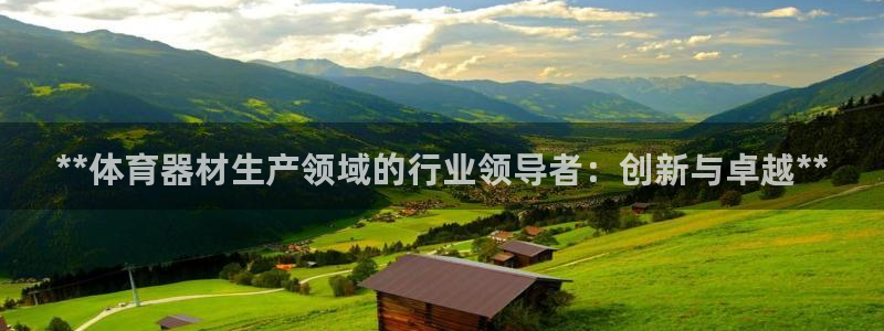 富联娱乐平台开户流程图：**体育器材生产领域的行业领