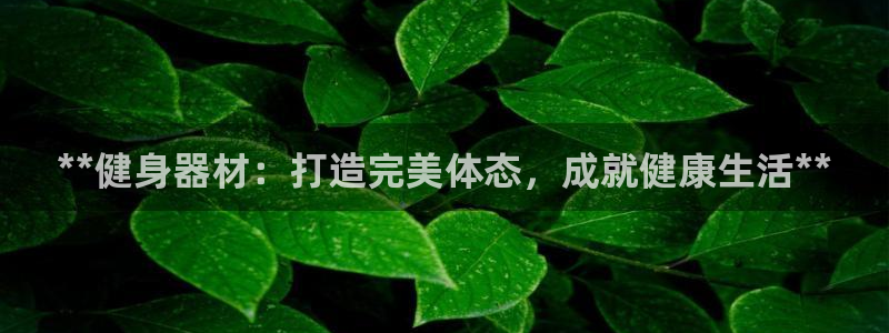 富联娱乐平台开户要钱吗：**健身器材：打造完美体态，