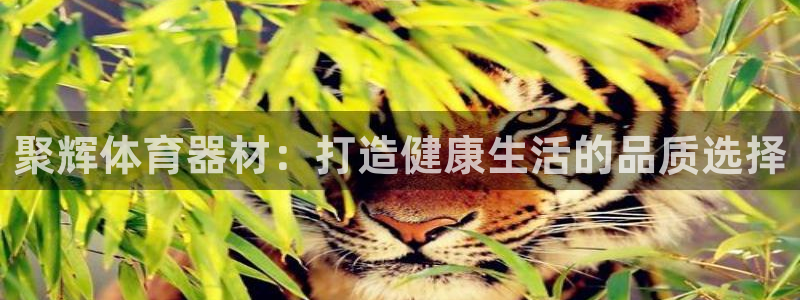 富联股份：聚辉体育器材：打造健康生活的品质选择