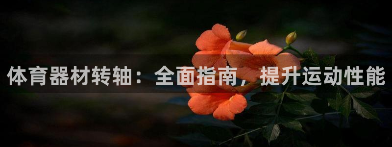 富联娱乐平台开户条件：体育器材转轴：全面指南，提升运