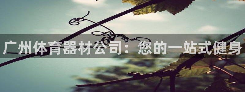 富联娱乐平台开户流程及时间：广州体育器材公司：您的一