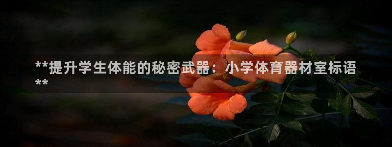 富联娱乐待 411o31 娱乐：**提升学生体能的秘