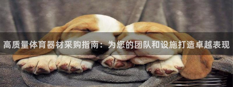 富联官方网站下载安装：高质量体育器材采购指南：为您的