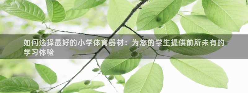 富联娱乐登录地址查询：如何选择最好的小学体育器材：为