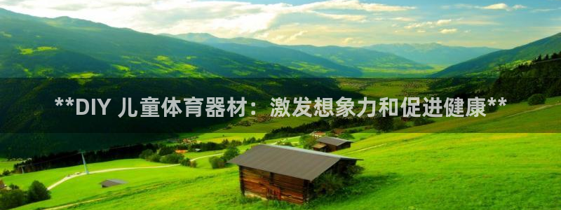 富联平台网站官网：**DIY 儿童体育器材：激发想象
