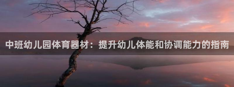 富联娱乐在线注册链接是什么意思：中班幼儿园体育器材：