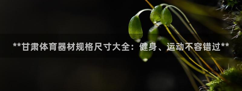 富联娱乐是什么时候开的店：**甘肃体育器材规格尺寸大