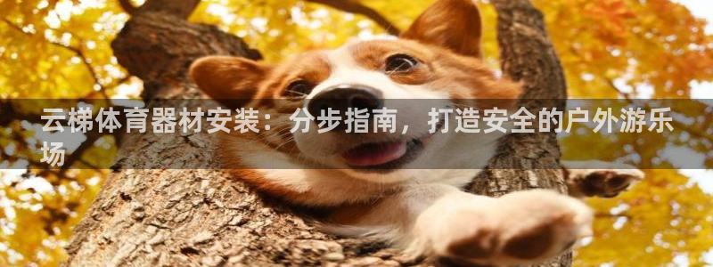 富联娱乐玩法机制是什么：云梯体育器材安装：分步指南，