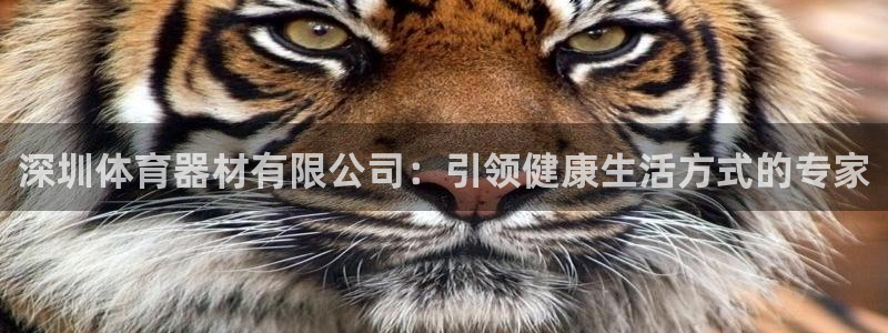 富联平台登录注册不了：深圳体育器材有限公司：引领健康