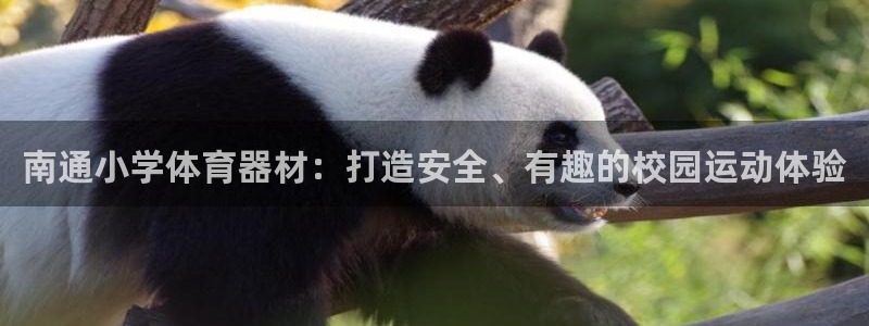 富联娱乐在线注册链接怎么弄出来：南通小学体育器材：打