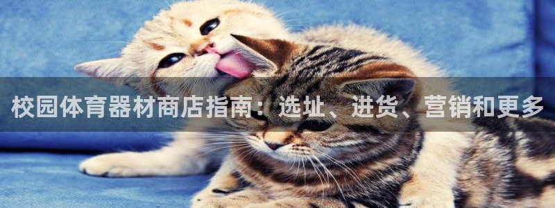 富联官方网站登录：校园体育器材商店指南：选址、进货、