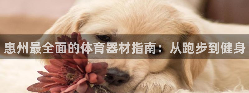 富联官方网站入口网址是多少：惠州最全面的体育器材指南