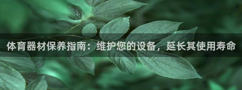 富联娱乐股东构成：体育器材保养指南：维护您的设备，延