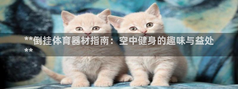 富联官方网站首页入口下载：**倒挂体育器材指南：空中