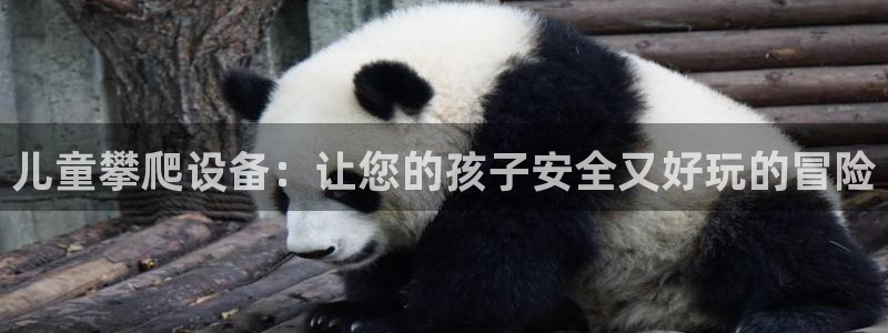 富联官方网站首页入口下载：儿童攀爬设备：让您的孩子安