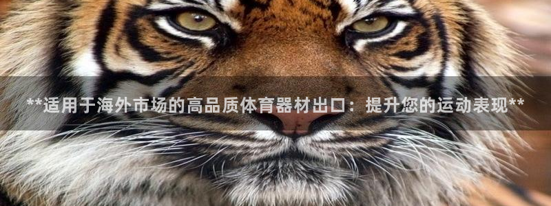 富联娱乐按7O777：**适用于海外市场的高品质体育