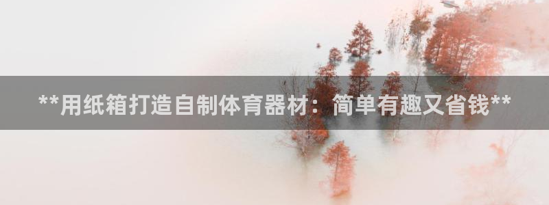 富联娱乐平台开户流程图：**用纸箱打造自制体育器材：