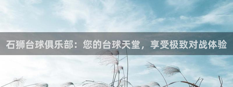 富联娱乐总代理是谁：石狮台球俱乐部：您的台球天堂，享