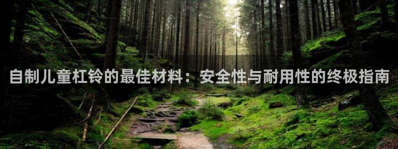 富联娱乐客服微信：自制儿童杠铃的最佳材料：安全性与耐